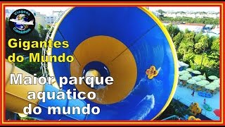 Maior parque aquático do mundo  Chimelong Water Park [upl. by Koralie]