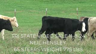 TRI STATE VIDEO SALE 11824 [upl. by Ddat]