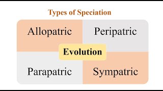 Types of Speciation [upl. by Lundin]