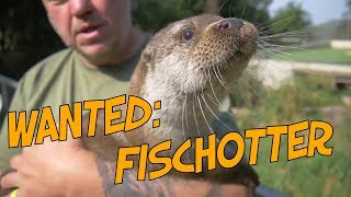 Steckbrief Fischotter [upl. by Nylarej]