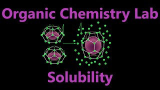 Solubility and Solutions  Organic Chemistry Lab Techniques [upl. by Jempty435]