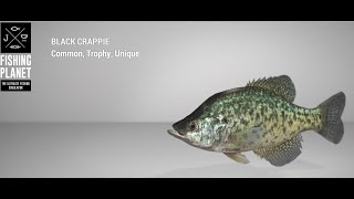 Fishing Planet  Quanchkin Lake  Unique  Black Crappie  Float [upl. by Oesile]