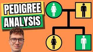 PEDIGREE ANALYSIS With Examples [upl. by Lazarus]