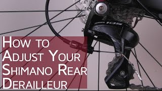 How to Adjust your Shimano Rear Derailleur  CGT  Bike School [upl. by Nirroc]