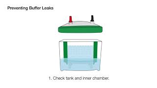 Quick Tips How to Minimize Band Distortion During Gel Electrophoresis for Western Blotting [upl. by Akemahs]