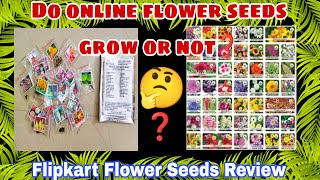 Do Online Flower Seeds Grow or Not  Online Flowers Seeds ReviewHow to grow online flowers Seeds [upl. by Aliac]