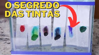 Descubra As Cores Ocultas Das Canetinhas  CROMATOGRAFIA EM PAPEL [upl. by Grete]