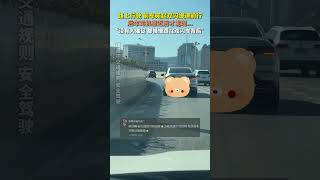 高架路，前车亮起双闪缓速前行护送误闯高架的小狗离开，quot没有人催促，都慢慢跟在双闪车背后quot 交通安全 暖心 正能量 [upl. by Yenetruoc]