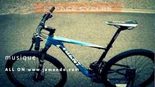 Giant Anthem X4 29er 2013 [upl. by Ramat]