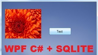 C WPF Tutorial 4 SQLite database connection with WPF C PART 22 [upl. by Ahtnamas]