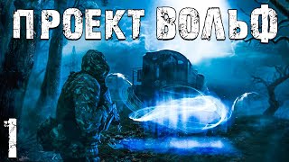 STALKER Проект Вольф 1 Пропавший Друг [upl. by Fishback]