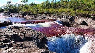 CAÑO CRISTALES EL RIO DE 7 COLORES COLOMBIA [upl. by Creighton]