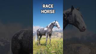 Best RACE Horses You Must OWN  RDR 2 [upl. by Adrahc]