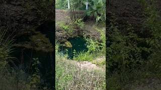 165 acre beautiful farmland for sale in Kinathukkadavu farmlandforsale lowbudgetfarmland [upl. by Susann]