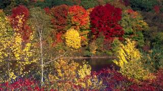 Explore White Mountain National Forest New Hampshire  Camping Trip [upl. by Tobit]