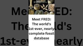 Meet FRED The worlds 1stever nearly complete fossil database [upl. by Ahsikam]