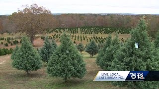 Beavers Christmas Tree Farm expects to meet sales numbers despite cold start to holiday season [upl. by Mendie948]