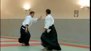 Christian Tissier Dojo Vincennes 2004 [upl. by Nykal782]