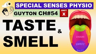 Ch54 Physiology Guyton  Special Senses  Sense of Taste and Smell  Physiology Lectures [upl. by Grosberg701]