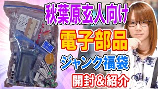 【福袋】秋葉原玄人向け大量の電子部品が入った秋月電子ジャンク福袋 開封【ジャンク】 [upl. by Pepi]