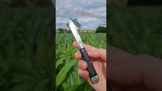 Robert Klaas coke bottle solingen blade trending edc foldingknife cutlery [upl. by Hadwin844]