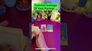 ❤️Unki Current Feelings Hindi Tarot❤️HINDI TAROT CARD READING🧿 tarot shorts [upl. by Anitel]