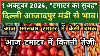 1 अक्टूबर 2024 टमाटर का भाव Azadpur Delhi Mandi Today delhifruitmarket tomato tomatoes dmttv [upl. by Zzaj]