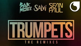 Sak Noel amp Salvi Ft Sean Paul  Trumpets Undersound Remix [upl. by Okechuku]