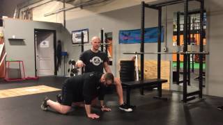 Quick Fix Shoulder Stability CoContraction [upl. by Rudelson395]