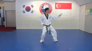 Green Belt Pattern by Hyun TKD Academy [upl. by Gladi195]