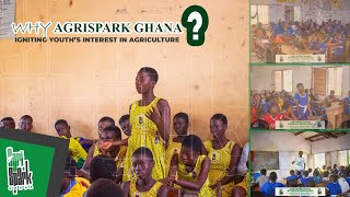 Youths in Agriculture The AgriSpark Ghana Story Mission And How It Will Impact Agriculture Sector [upl. by Anos]