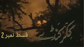 Ptv Old Drama Serial Kikar Kanday Episode 2 PTV NATIONAL [upl. by Ethelinda725]