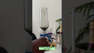 SS Lesson 43 Hosting hack to help guests keep up with their glass at the party hostingtips [upl. by Aicinat]