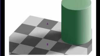 Does this Optical Illusion Fool You Amazing Checker Shadow Illusion by Edward H Adelson [upl. by Clio848]