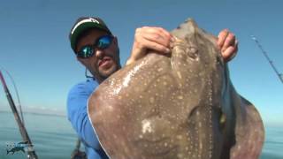 Epic Ray Fishing from a Boat  Rigs Tips and Tactics [upl. by Idolah]