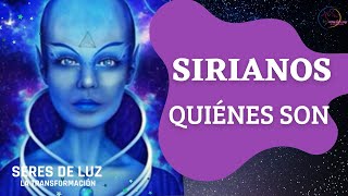 ✨SIRIANOS RAZA ✨Quiénes son ellos ✨Razas Sirianas✨ Razas galácticas✨ Estrella sirio✨ [upl. by Ledda]