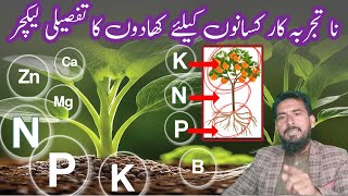 NPK fertilizer  what is NPK fertilizer  Arshad Ali [upl. by Brenton]