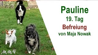 Befreiung  Pauline 1419Tag  von Maja Nowak [upl. by Allekram28]