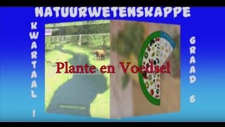 Plante en Voedsel Deel 1 [upl. by Marva]