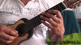 El Puelche en charango Tutorial [upl. by Obocaj]