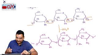 Lecture15 Structure of starch  Structure of amylose amp amylopectin [upl. by Dewhirst84]