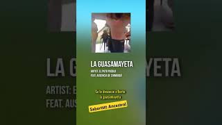 La Guasamayeta Feat Ausencia de Chimbiquí Musica Circombia [upl. by Asyar]