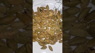 How to Make Cardamom powder  Elaichi Powder Recipe Shorts YoutubeShorts video [upl. by Ponzo]