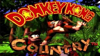 Aquatic Ambience  Donkey Kong Country [upl. by Hehre]