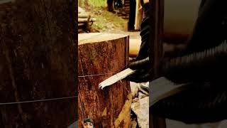 satisfying bushcraft diy Subscribe bushcrafter bushcamp camping [upl. by Vaios]