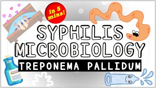 Syphilis Treponema pallidum Microbiology All you need to know [upl. by Milah641]