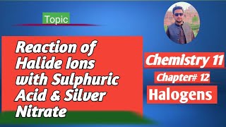 lec3 Reactivity of halide Ions with sulphuric acid  Reactions with silver nitrate  Chlorination [upl. by Aerdua]