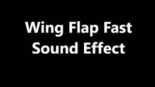 Wing Flap Fast Sound Effect [upl. by Aliekahs760]