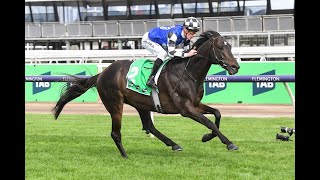 Flemington Racing Preview G1 Turnbull Stakes 051024  Sky High Horse Racing [upl. by Nerte]