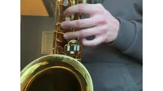 King Zephyr Tenor Saxophone  For Sale  Demo [upl. by Arvid]